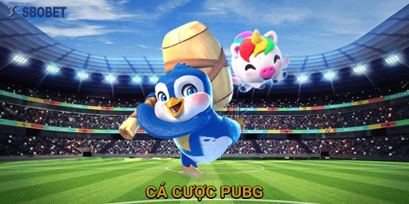 ca-cuoc-pubg
