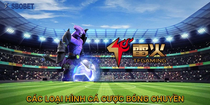 cac-loai-hinh-ca-cuoc-bong-chuyen