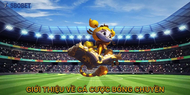 gioi-thieu-ve-ca-cuoc-bong-chuyen