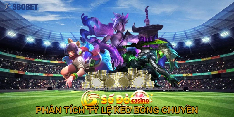 phan-tich-ty-le-keo-bong-chuyen